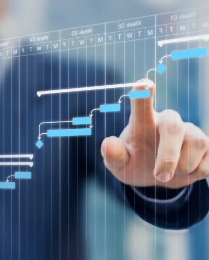 PROVIDING SKILLED PROJECT LEADERSHIP